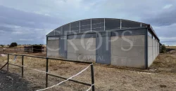 Hípica en venta a menos de 1 hora Madrid