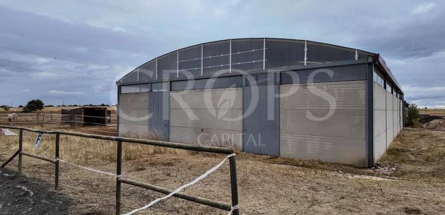 Hípica en venta a menos de 1 hora Madrid