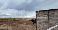 Hípica en venta a menos de 1 hora Madrid