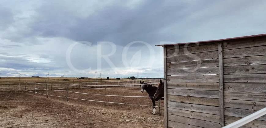 Hípica en venta a menos de 1 hora Madrid