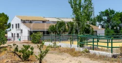 En venta, tres fincas de olivar ecológico de regadío en Jaén
