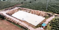 En venta, olivar en superintensivo con vivienda en Córdoba En venta, olivar en superintensivo con vivienda en Córdoba