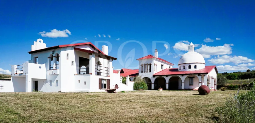 En venta  espectacular finca de recreo con vivienda y plaza de toros en Ávila / Salamanca