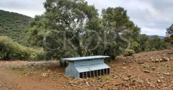 En venta finca de caza con vivienda en Zaragoza