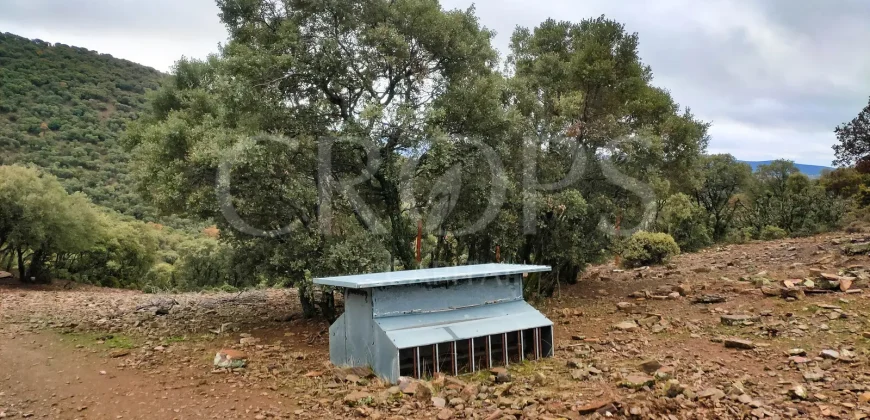 En venta finca de caza con vivienda en Zaragoza