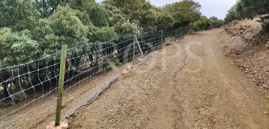 En venta finca de caza con vivienda en Zaragoza