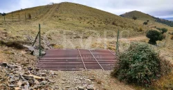 En venta finca de caza con vivienda en Zaragoza