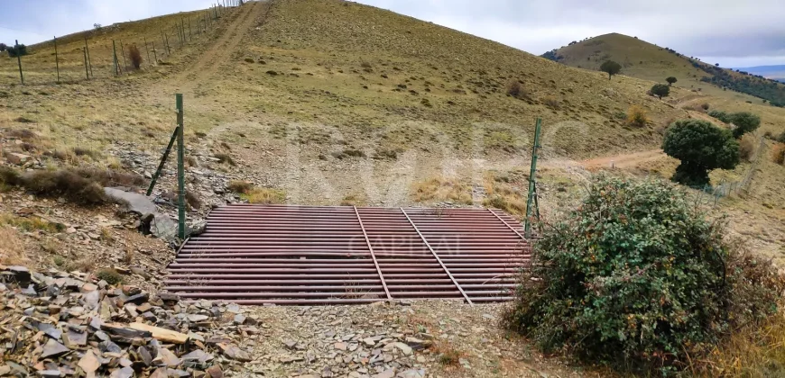 En venta finca de caza con vivienda en Zaragoza