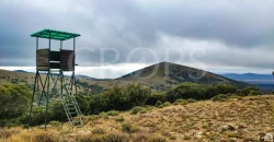 En venta finca de caza con vivienda en Zaragoza