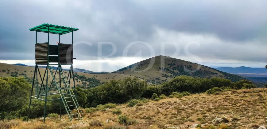 En venta finca de caza con vivienda en Zaragoza