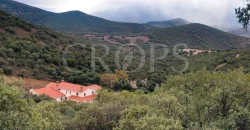 En venta finca de caza con vivienda en Zaragoza