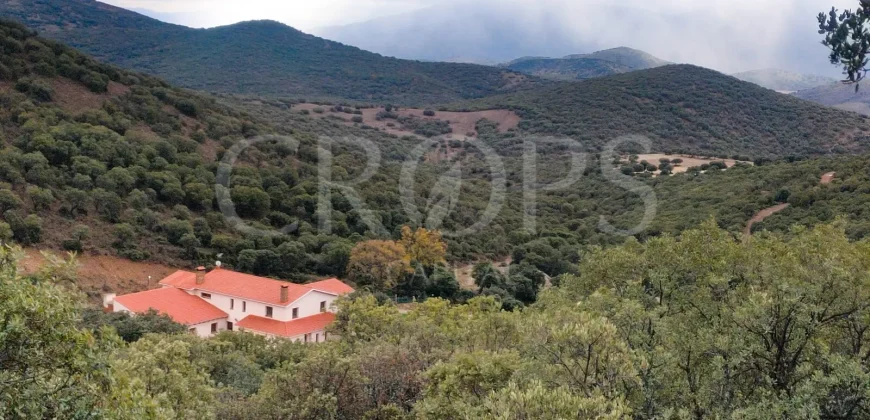 En venta finca de caza con vivienda en Zaragoza