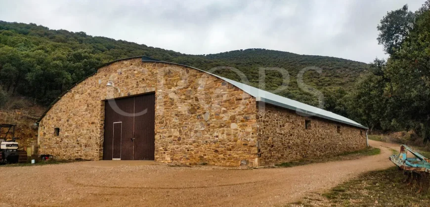 En venta finca de caza con vivienda en Zaragoza