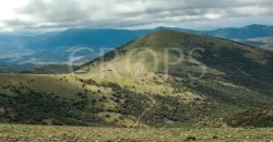 En venta finca de caza con vivienda en Zaragoza