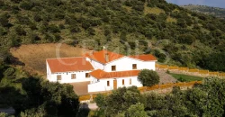 En venta finca de caza con vivienda en Zaragoza