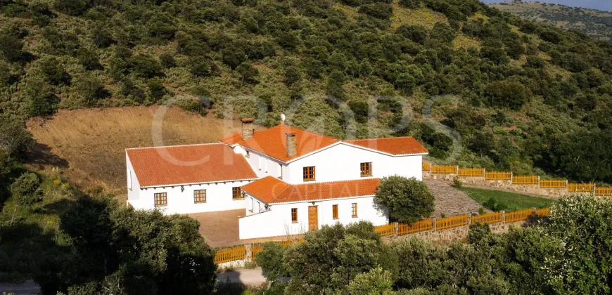 En venta finca de caza con vivienda en Zaragoza