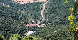 En venta finca de caza con vivienda en Zaragoza