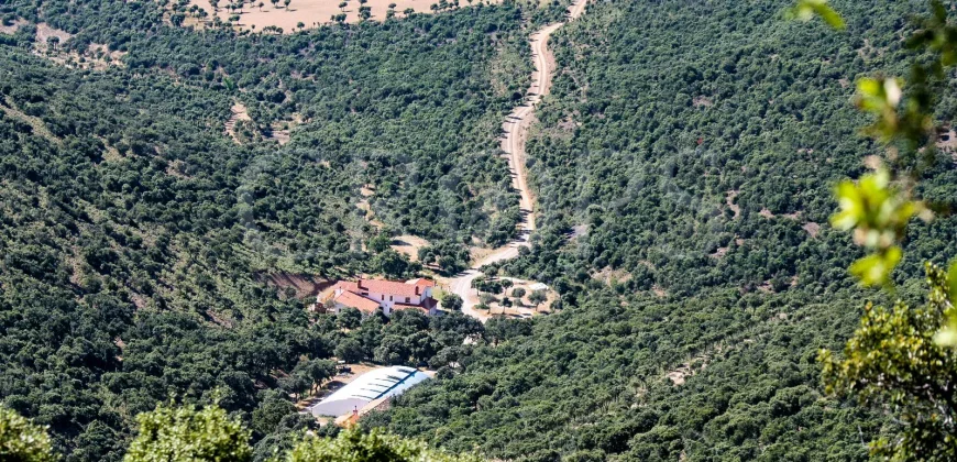 En venta finca de caza con vivienda en Zaragoza