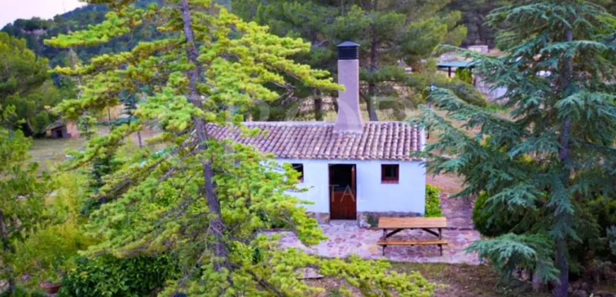 En venta exclusiva masía en Valencia