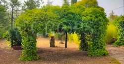 En venta exclusiva masía en Valencia