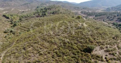 Venta de finca ganadera en Huelva con coto de caza y vivienda