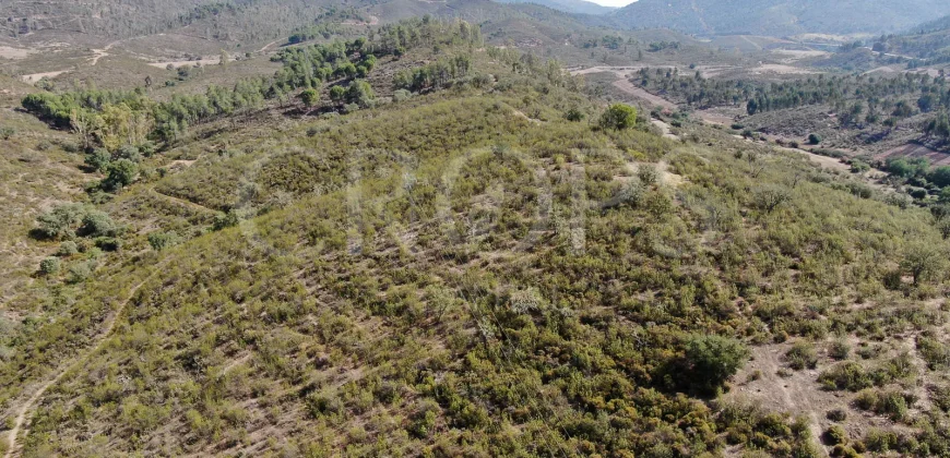 Venta de finca ganadera en Huelva con coto de caza y vivienda
