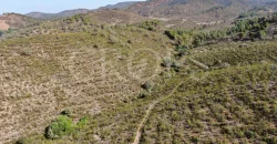 Venta de finca ganadera en Huelva con coto de caza y vivienda