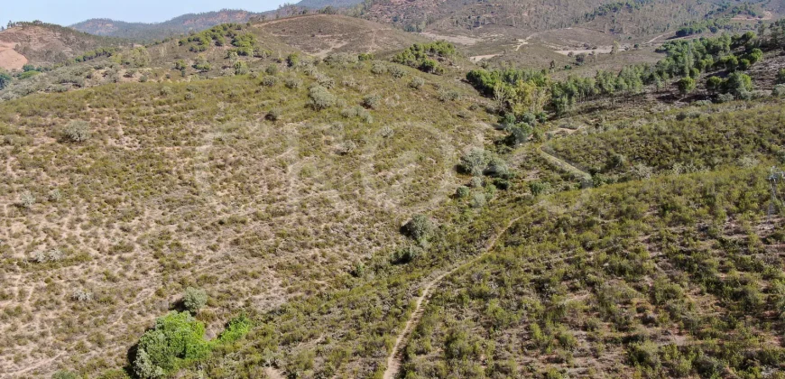 Venta de finca ganadera en Huelva con coto de caza y vivienda