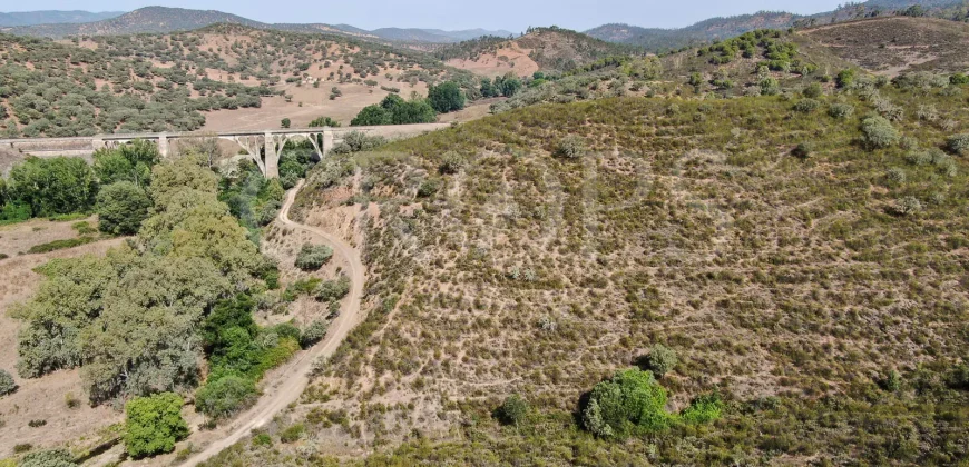Venta de finca ganadera en Huelva con coto de caza y vivienda