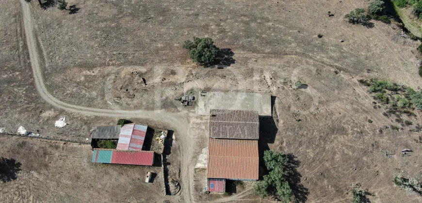 Venta de finca ganadera en Huelva con coto de caza y vivienda