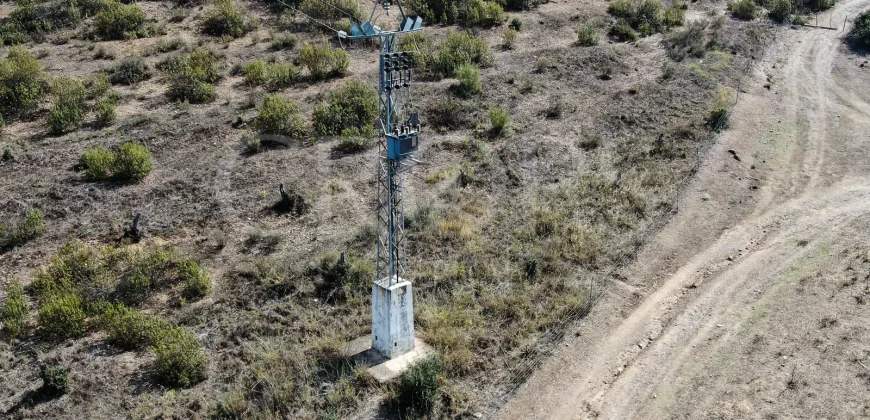 Venta de finca ganadera en Huelva con coto de caza y vivienda