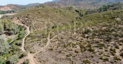 Venta de finca ganadera en Huelva con coto de caza y vivienda