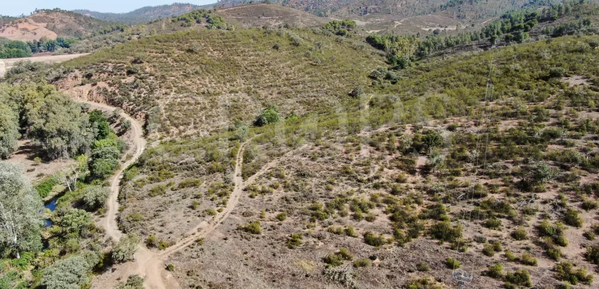 Venta de finca ganadera en Huelva con coto de caza y vivienda