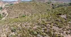 Venta de finca ganadera en Huelva con coto de caza y vivienda