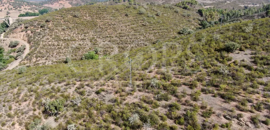 Venta de finca ganadera en Huelva con coto de caza y vivienda
