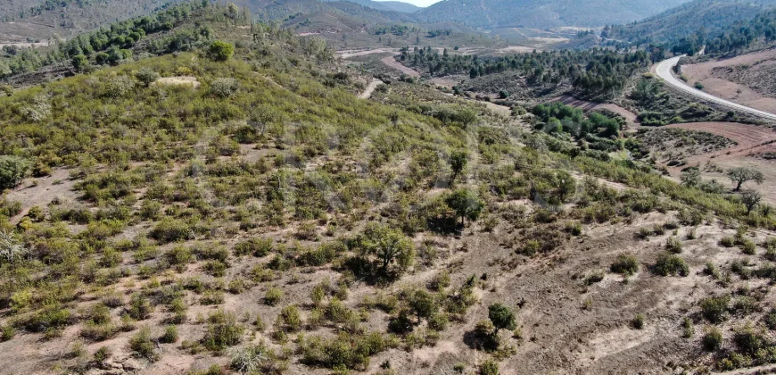 Venta de finca ganadera en Huelva con coto de caza y vivienda