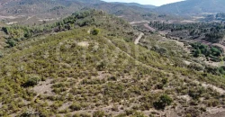 Venta de finca ganadera en Huelva con coto de caza y vivienda