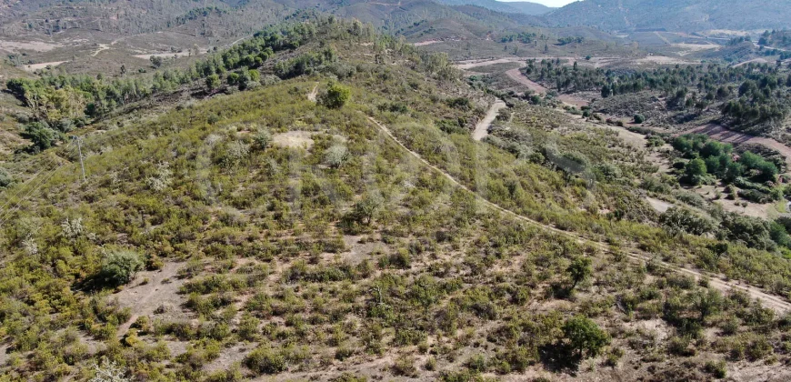 Venta de finca ganadera en Huelva con coto de caza y vivienda
