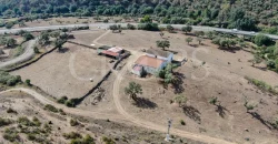 Venta de finca ganadera en Huelva con coto de caza y vivienda