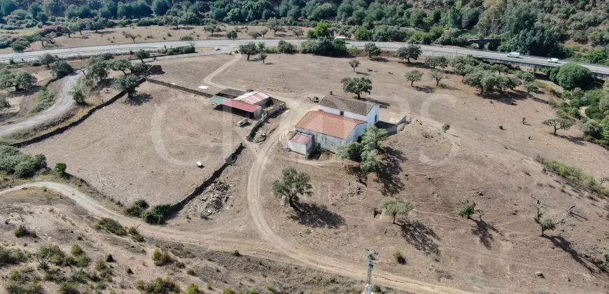 Venta de finca ganadera en Huelva con coto de caza y vivienda