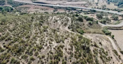 Venta de finca ganadera en Huelva con coto de caza y vivienda