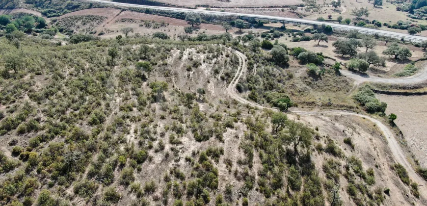 Venta de finca ganadera en Huelva con coto de caza y vivienda