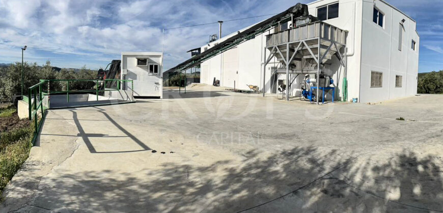 Olivar con almazara y cortijo en la provincia de Córdoba