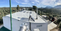 Olivar con almazara y cortijo en la provincia de Córdoba Olivar con almazara y cortijo en la provincia de Córdoba