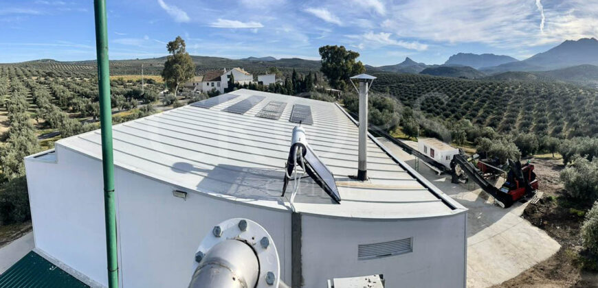 Olivar con almazara y cortijo en la provincia de Córdoba