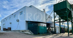 Olivar con almazara y cortijo en la provincia de Córdoba Olivar con almazara y cortijo en la provincia de Córdoba