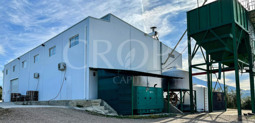 Olivar con almazara y cortijo en la provincia de Córdoba