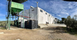 Olivar con almazara y cortijo en la provincia de Córdoba Olivar con almazara y cortijo en la provincia de Córdoba