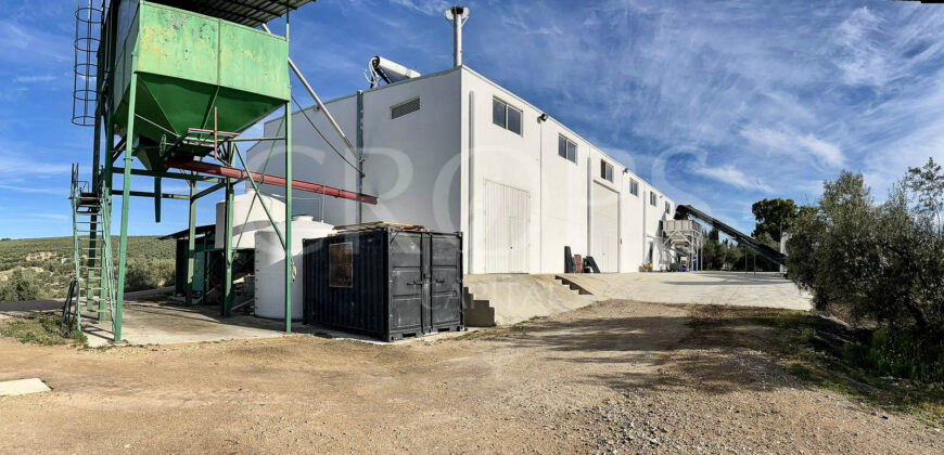 Olivar con almazara y cortijo en la provincia de Córdoba