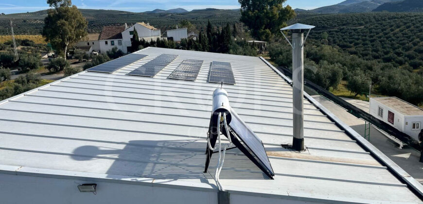 Olivar con almazara y cortijo en la provincia de Córdoba